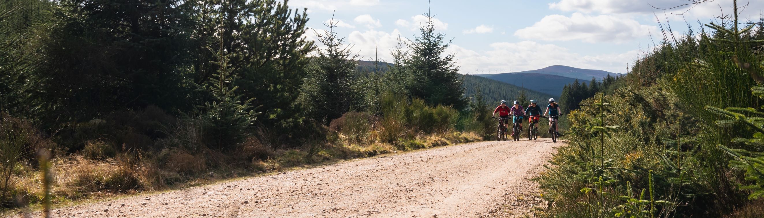 Mountain bikers on a forest road in Aberdeenshire